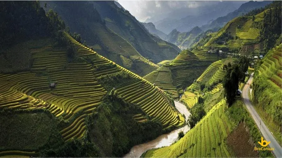 100+ ảnh đồng quê Việt Nam yên bình như bức tranh sơn dầu · ảnh 1