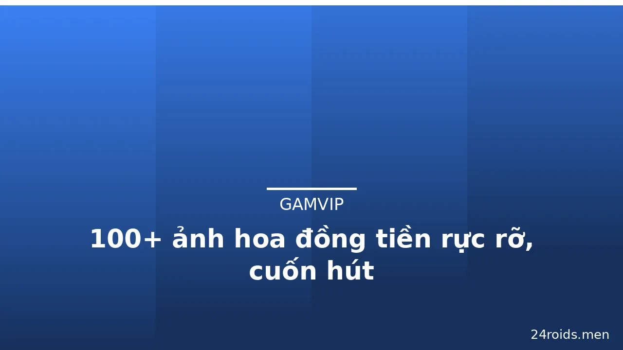 100+ ảnh hoa đồng tiền rực rỡ, cuốn hút · ảnh 2