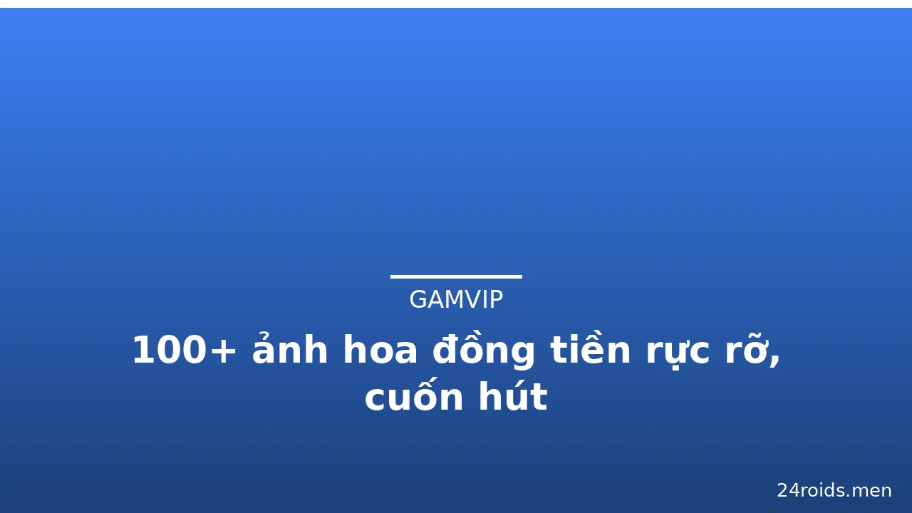 100+ ảnh hoa đồng tiền rực rỡ, cuốn hút · ảnh 3