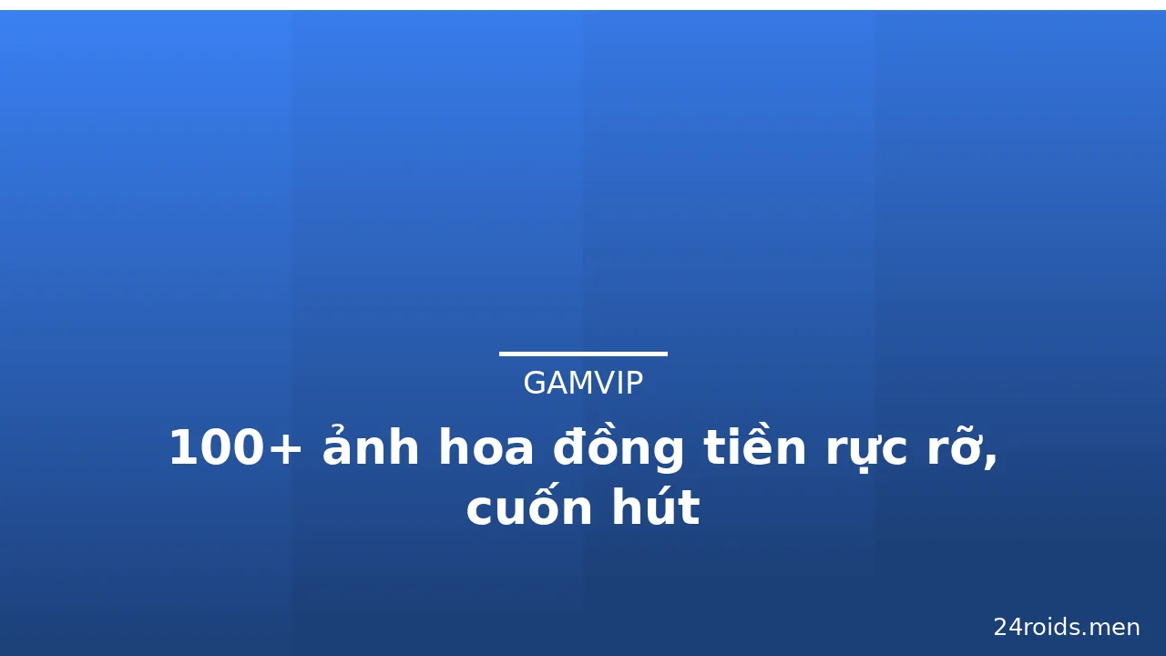 100+ ảnh hoa đồng tiền rực rỡ, cuốn hút