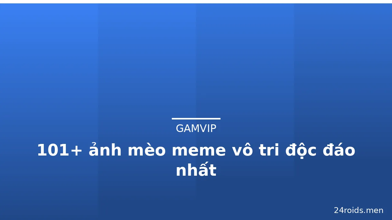 101+ ảnh mèo meme vô tri độc đáo nhất · ảnh 1