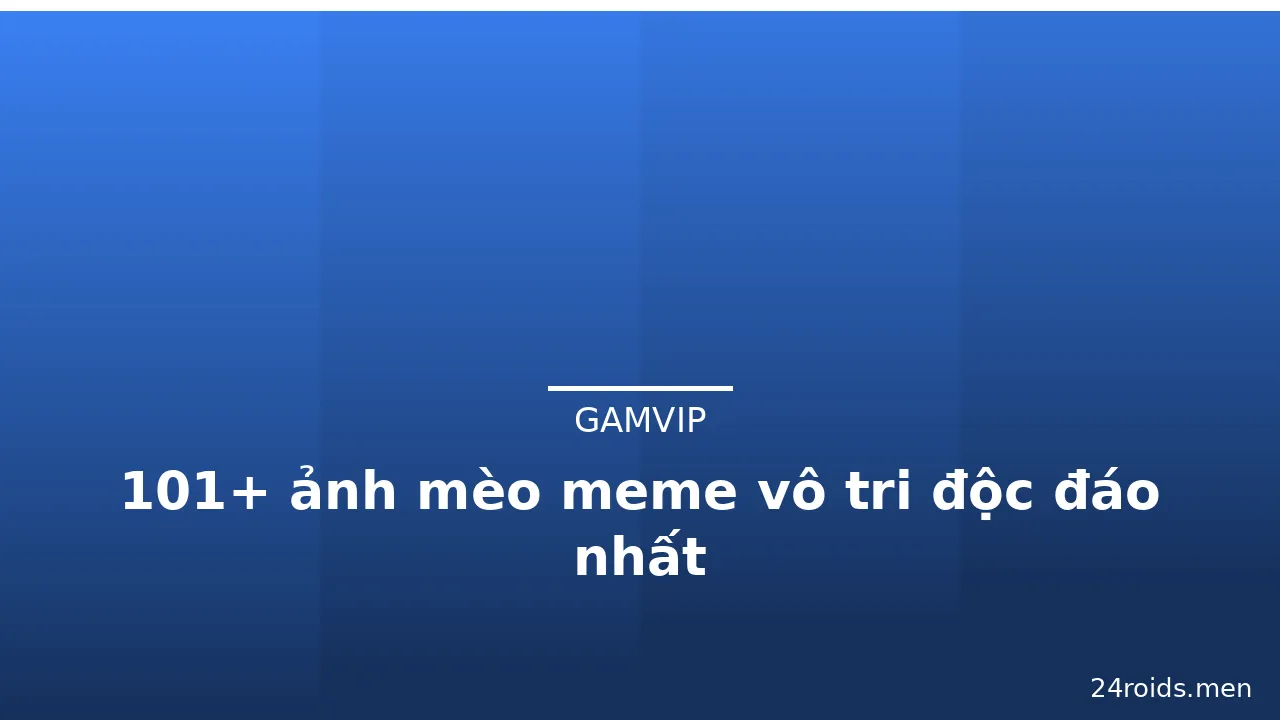 101+ ảnh mèo meme vô tri độc đáo nhất