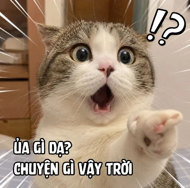 Tuyển tập 50+ meme nghi ngờ cực chất